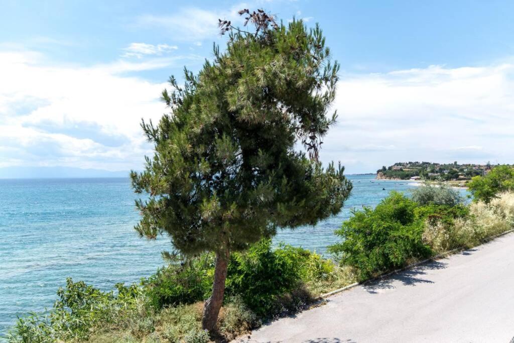 Vila Endless Sea View House Nea Iraklia Exteriér fotografie